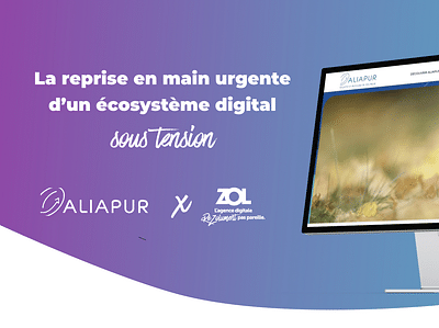 Aliapur - Software Entwicklung