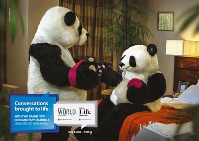 The Pandas - Publicidad