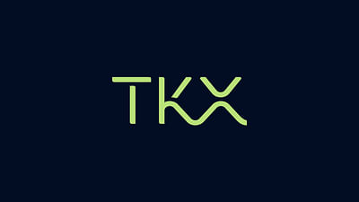 TEKMAX-TKX - Branding y posicionamiento de marca
