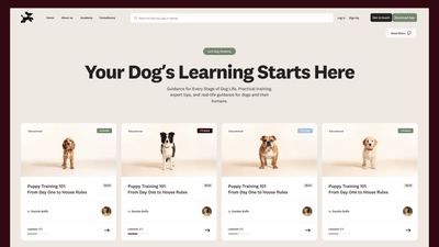Lets Dog - Branding & Positionering