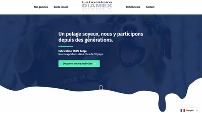 Diamex Site web + CMS + Carte interactive - Ergonomie (UX/UI)