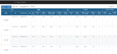 Seller Cloud Report System - Software Development