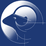 Aries srl logo