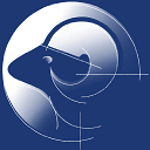 Aries srl