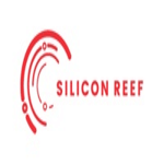Silicon Reef