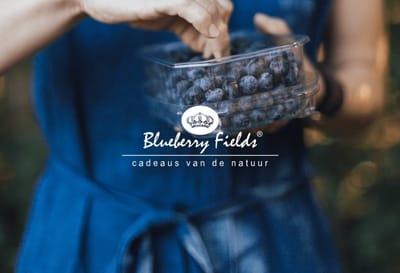 Blueberry Fields | Het succesverhaal van een blauwe bes - E-commerce