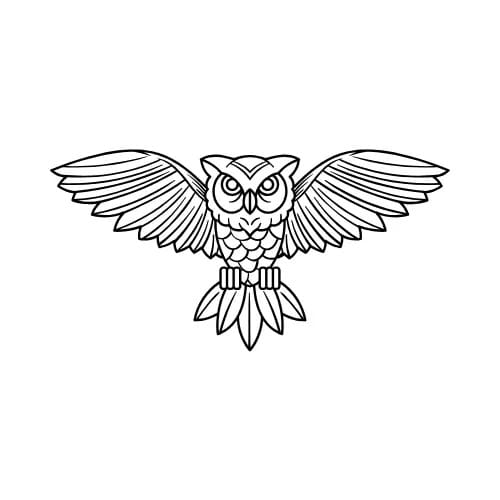 Morphiaas USA