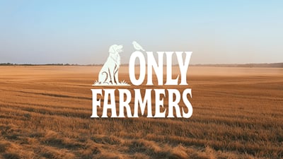 Only Farmers: brand identity and guidelines - Branding & Positioning