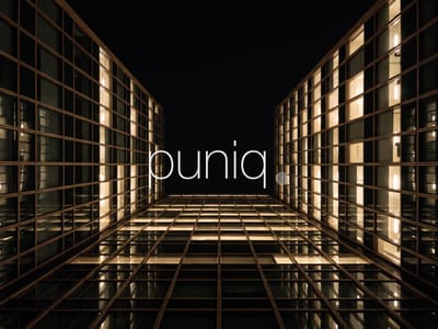 How we Built puniq's Brand and GCC Marketing System. - SEO