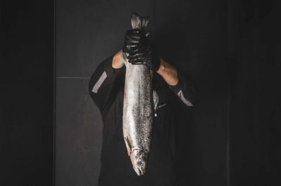 Edeka - Produkt - Fotografie