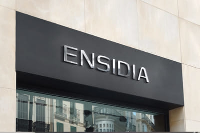 Ensidia Rebranding - Graphic Identity