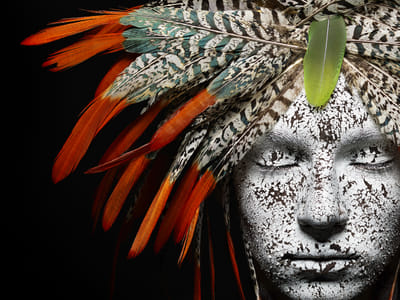 Feather Heads - Werbung