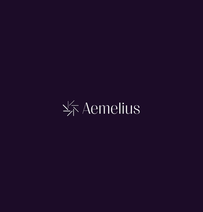 Aemelius - Branding and Website Development - Webseitengestaltung