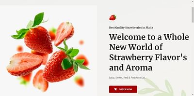 Shawn's Strawberry - Création de site internet