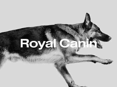 Royal Canin Belgium - E-commerce