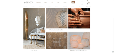 Zenza - Website Creatie