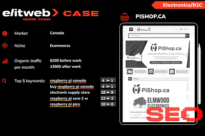 PPC, SEO, and SMM Promotion of PiShop E-commerce - Onlinewerbung