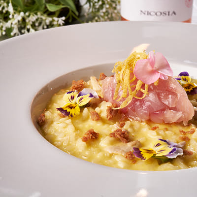 Works with William Cioffi  chef in Nicosia Winery - Fotografia