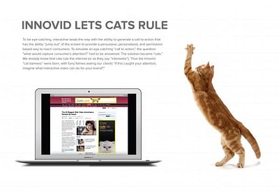 INNOVID LETS CATS RULE - Publicité