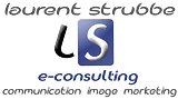 LS e-consulting
