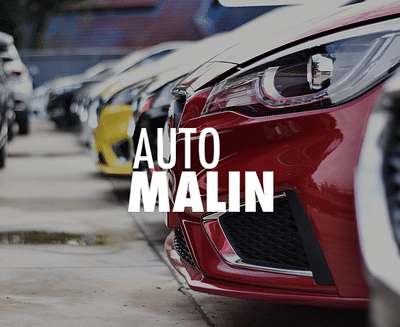 Stratégie webmarketing | Auto Malin - Publicidad Online