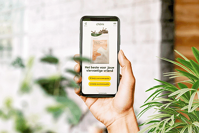 Chomi Website Ontwikkeling - Website Creatie
