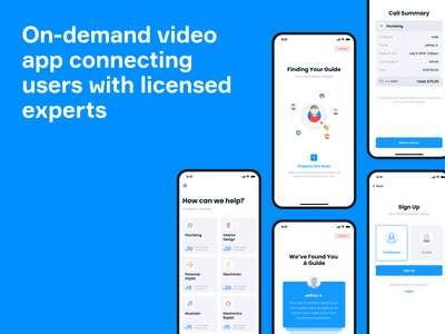 Expert consultation platform MVP from scratch in 4 months - Mobile App