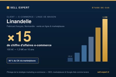 Linandelle — Stratégie marketing e-commerce : CA ×15 en 10 ans - Référencement naturel