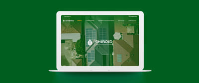 Diseño Web | Shibrid - Diseño Gráfico