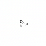 PROMOSHARK