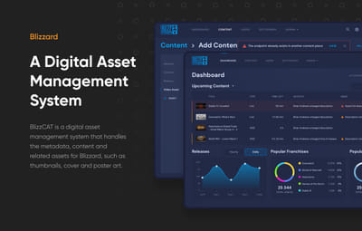 A CMS for Blizzard - Usabilidad (UX/UI)