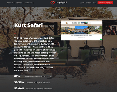 Kurt Safari (SEO) - SEO