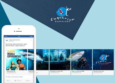 Gestión de redes sociales l'Aquàrium - Réseaux sociaux