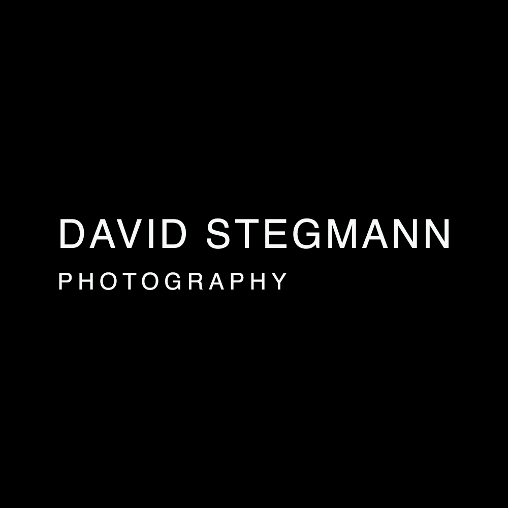 David Stegmann