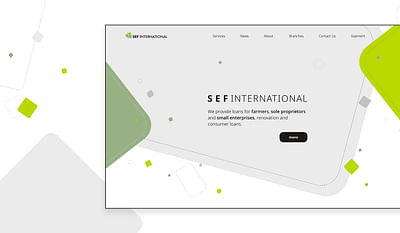 SEF International Website Design and Development - E-commerce