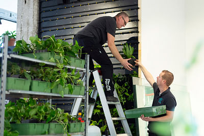 Business model innovatie Planing Power - Innovatie