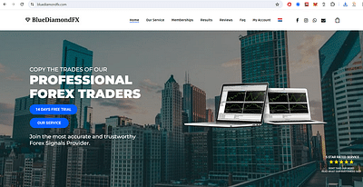 Website & Branding BlueDiamond - E-commerce