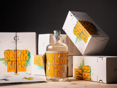 Felix Luis Gin - Webanwendung