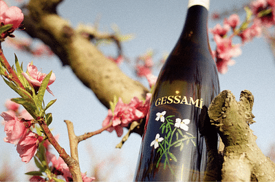 GESSAMÍ - Fotografía