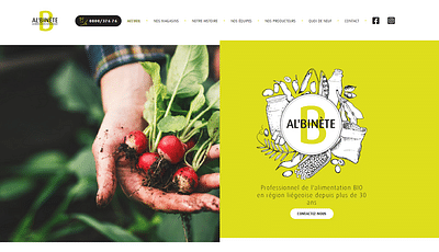 Site d'Al'Binete - Design & graphisme