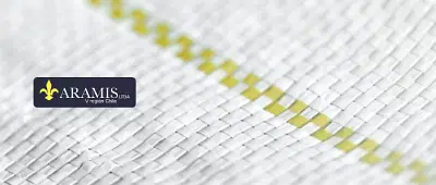 Diseño y desarrollo web para Aramis - Creación de Sitios Web