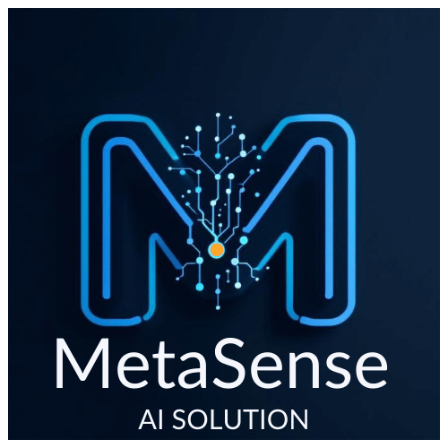 MetaSense Ai Solution (Human&Sense srl)