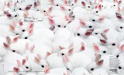 RABBITS - Advertising