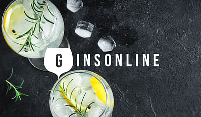 Kostenefficiënt adverteren voor Gins Online - E-commerce