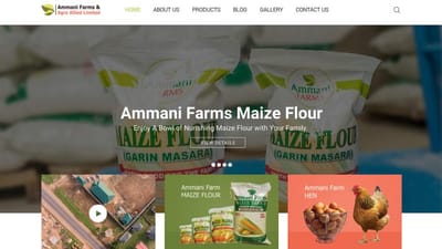 Digital marketing campaign  & website development - Digital Strategy