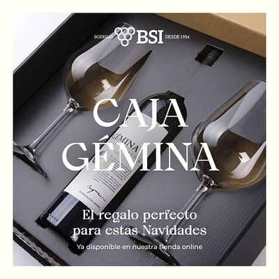 BSI - Bodegas San Isidro - 3D