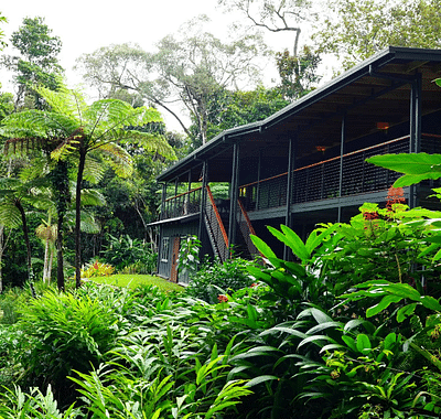 Kuranda Rainforest House - Marketing d'influence