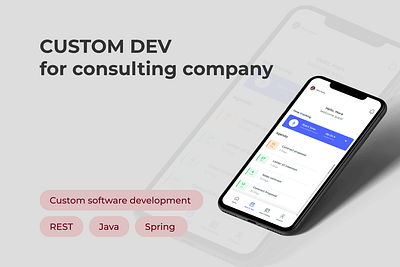 Custom Dev for Consulting Company - Software Entwicklung