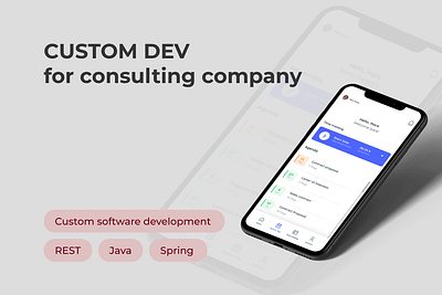 Custom Dev for Consulting Company - Développement de Logiciel