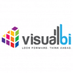 Visual BI solutions logo